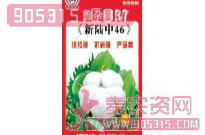 鲁杂棉37-种旺农业农资招商产品