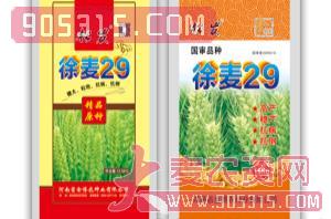 徐麦29-小麦种子-金博农农资招商产品