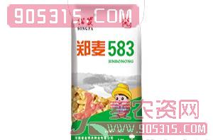 郑麦583-小麦种子-金博农农资招商产品