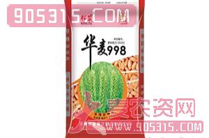 华麦998-小麦种子-金博农
