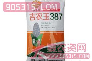 吉农玉387-玉米种子-中科种业农资招商产品