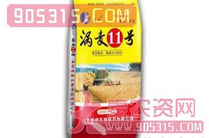 涡麦11号-小麦种子-普豪生物农资招商产品