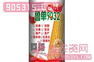 鲁单9032-玉米种子-坔育种业