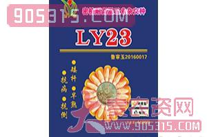LY23-玉米种子-强欣种业