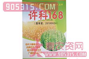 小麦种子-许科168-校博种业农资招商产品