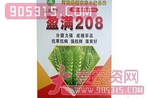 小麦种子-盈满208-五谷种业农资招商产品