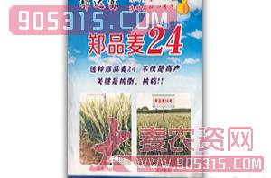 郑品麦24-小麦种子-邦达富农资招商产品