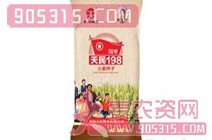 天民198-小麦种子-垄上行种业
