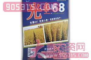 光泰68-小麦种子-垄上行
