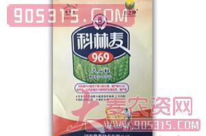 科林麦969-小麦种子-鼎鑫种业农资招商产品