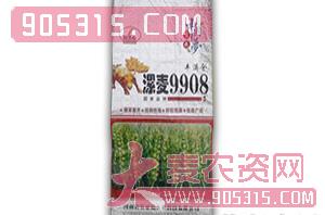 漯麦9908-小麦种子-民之心农资招商产品