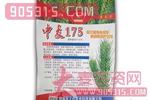中麦175-小麦种子-民之心农资招商产品