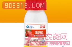 25ml番茄专用植物营养调理剂-灵耀番茄红农资招商产品