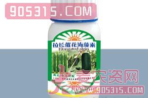 黄瓜冬瓜专用拉长催花海藻素-德邦农农资招商产品