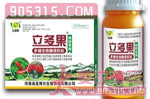 辣椒专用叶面肥-多糖生物酶诱抗肽-立多果-圣博尔农资招商产品