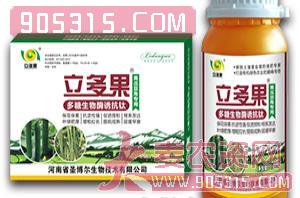 黄瓜豆角专用叶面肥-多糖生物酶诱抗肽-立多果-圣博尔农资招商产品