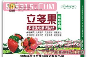 草莓专用叶面肥-多糖生物酶诱抗肽-立多果-圣博尔农资招商产品