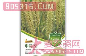 中涡22-小麦种子-中涡同丰农资招商产品