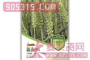 新麦26-小麦种子-中涡同丰农资招商产品
