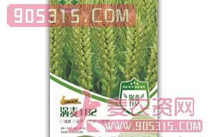 涡麦182-小麦种子-中涡同丰农资招商产品