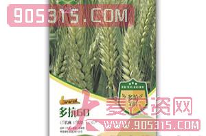 多抗60-小麦种子-中涡同丰农资招商产品