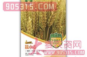 安农1012-糯小麦种子-中涡同丰