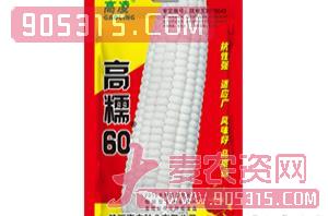 玉米杂交种-高糯60-高凌农资招商产品