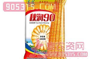 玉米杂交种-秋润90-高凌