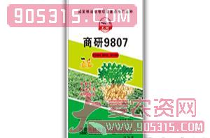 花生种子-商研9807-先耕农业