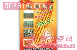 田丰118-玉米种子-田丰种业农资招商产品
