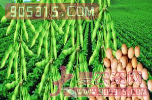 安豆5156-大豆-亿佳和农资招商产品