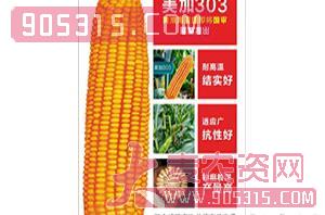玉米种子-美加303-同路农业农资招商产品