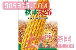玉米种子-秋丰526-同路农业农资招商产品