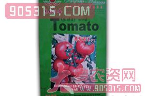 西红柿种子-番茄霸王F1-满天红日农资招商产品