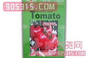 西红柿种子-霸王传奇F1-满天红日农资招商产品