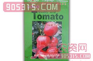 西红柿种子-高温王子F1-满天红日农资招商产品