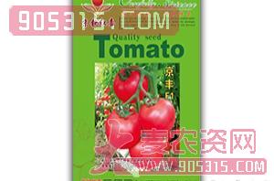 西红柿种子-京丰F1-满天红日
