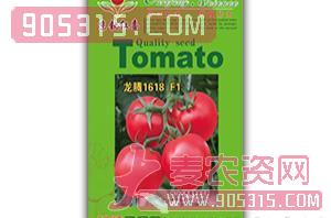 西红柿种子-龙腾1618F1-满天红日