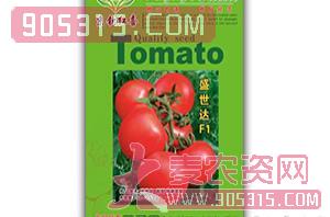 西红柿种子-盛世达F1-满天红日