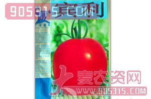 西红柿种子-宾利-满天红日