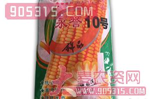 玉米种子-永誉10号-朝晖种业农资招商产品