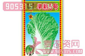 大白菜种子-早熟五号-春之润农资招商产品