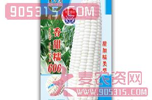 甜糯玉米种-香甜糯606-春之润农资招商产品