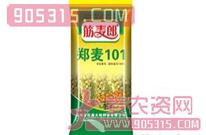 小麦种子-（筋麦郎）郑麦101-金粒鑫大地农资招商产品