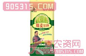 小麦种子-（金粒鑫大地）郑麦119-金粒鑫大地农资招商产品