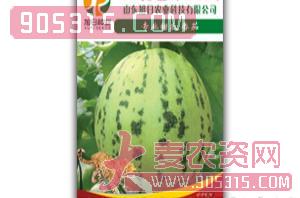薄皮甜瓜种子-花蕾（金钱豹）-旭日农业农资招商产品