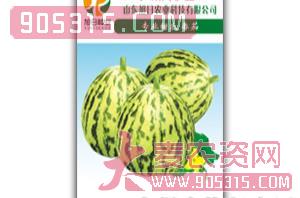 薄皮甜瓜种子-早熟花蕾-旭日农业农资招商产品