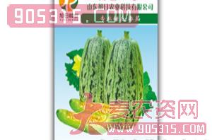 薄皮甜瓜种子-花蕾7号-旭日农业