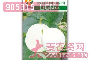 薄皮甜瓜种子-极品玉雪-旭日农业农资招商产品
