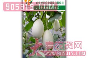 厚皮甜瓜种子-大个子脆梨-旭日农业农资招商产品